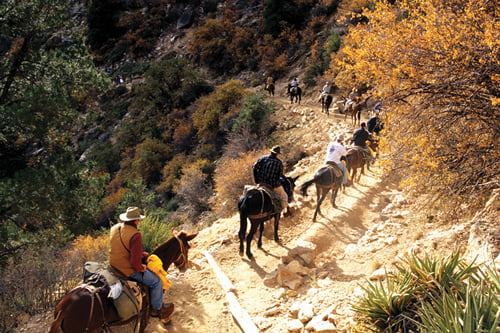 [The Explorer] Go West! Grand Canyon 에서 카우보이의 탐험을 즐기다