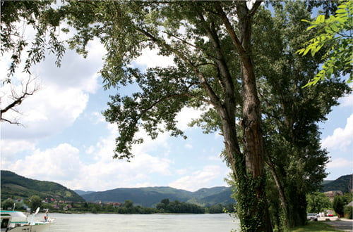 7. 클림트의 영원한 고향 빈을 가로질러 흐르는 6월의 도나우 강 풍경. 오스트리아의 작곡가 요한 스트라우스 2세의 왈츠 ‘아름답고 푸른 도나우 강’선율이 물씬 배어난다. 최선호2010ⓒ