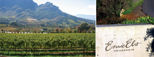 3. 남아공의 대표적인 와인 산지 스텔렌보시 4. 어니 엘스의 와이너리 입구. 어니 엘스 이름 아래 생산지 이름인 스텔렌보시가 보인다.