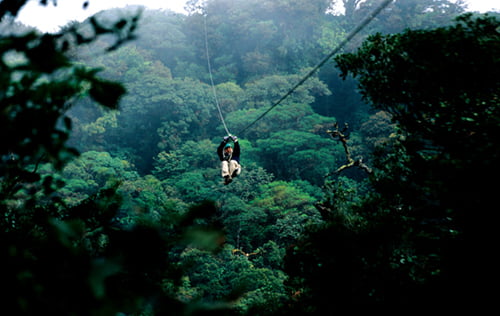 열대우림의 모험과 도전, ‘스릴 생태 관광’