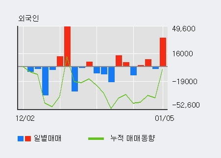 '대림건설' 52주 신고가 경신, 전일 기관 대량 순매수