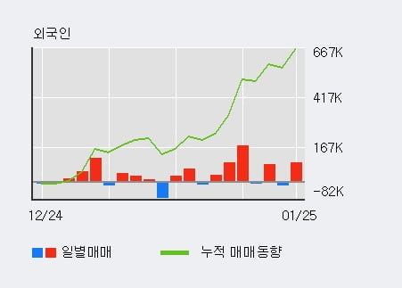 '두올' 52주 신고가 경신, 전일 외국인 대량 순매수