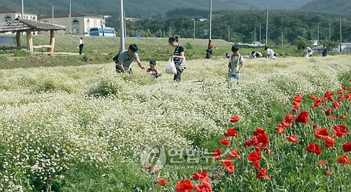 남원 지리산허브밸리에 무궤도열차 4월 도입…놀이시설도 개장