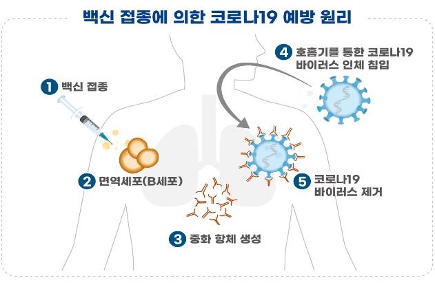 올해 접종할 코로나19 백신, 개발 원리와 특성 제각각