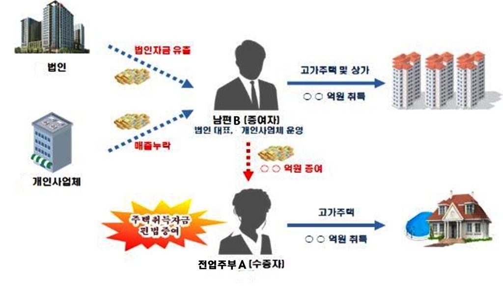 "아빠한테 전세 주고 돈도 빌렸다"…부동산 탈루혐의 358명 조사