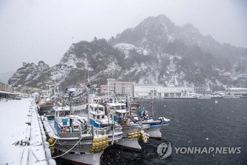 울릉도·독도에 대설경보…포항 등 경북 16곳 한파경보 유지