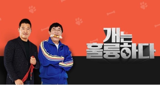 '개는 훌륭하다' 강형욱 출연료도 미지급…KBS "외주 문제"