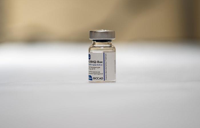 러시아 "WHO가 러 '스푸트니크 V' 백신 상반기에 인증 기대"
