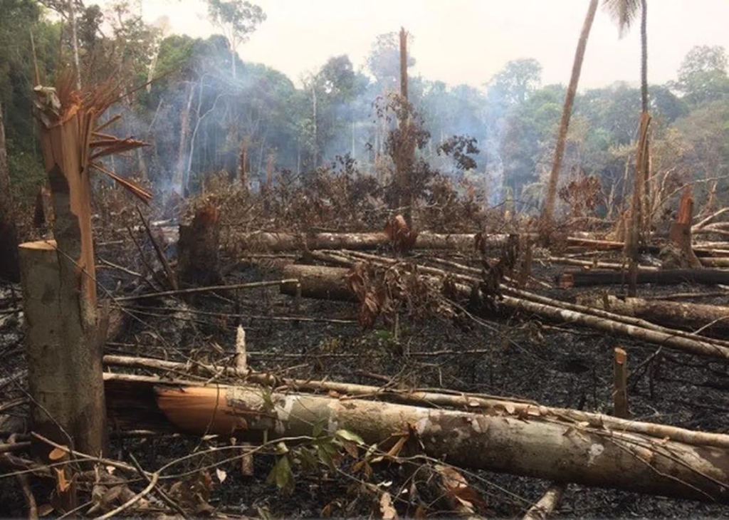 아마존 열대우림 2년간 1만7천604㎢ 파괴…서울 면적 30배