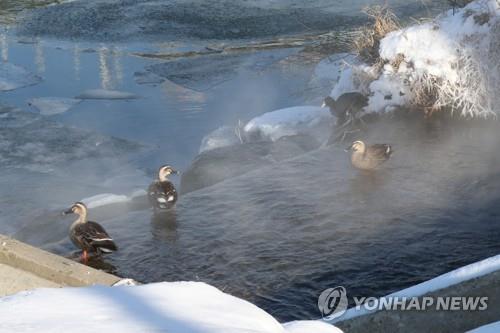 전북 서해안 1∼5㎝ 눈…어제보다 낮 기온 올라