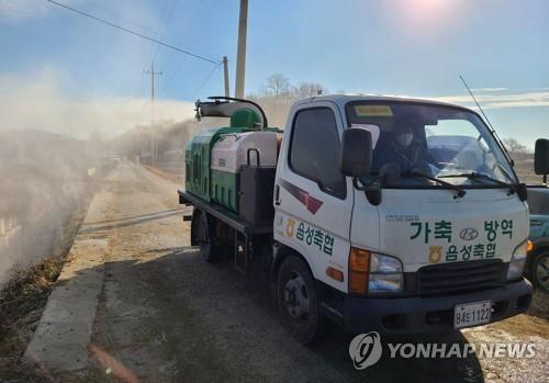 충북 AI발생 3곳뿐인데…살처분은 역대 3번째로 많아