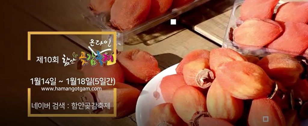 임금님도 반한 맛…함안곶감축제 14∼18일 온라인 개최