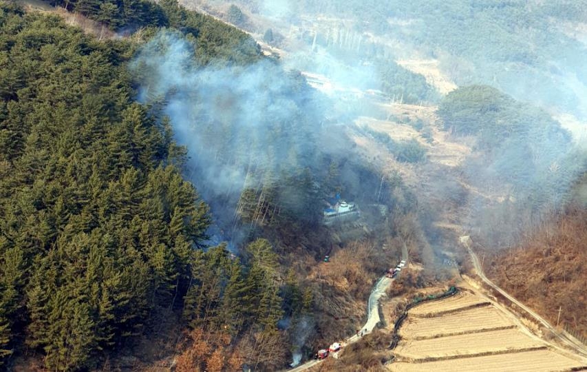 경남 사천 임야서 화재…900평 넓이 잡목 소실