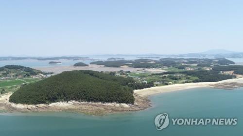 "서해 관광 중심지로"…해저터널 뚫리는 원산도 개발 잇따라