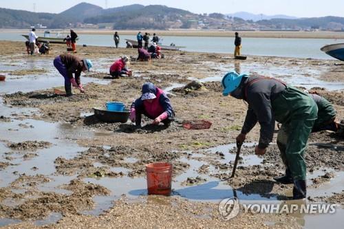 충남도, 올해 59개 어촌사업에 450억원 투입…작년보다 19%↑