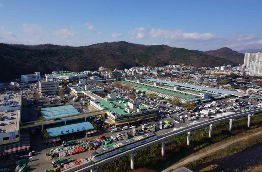 대구농수산물도매시장 지난해 거래금액 1조원 돌파