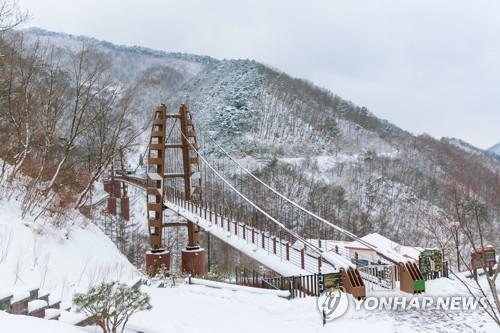 사용료 수입 100배 불린 증평 좌구산휴양랜드…"세입 우수사례"