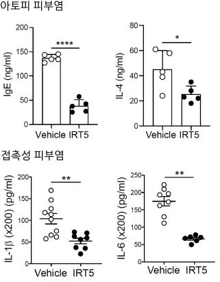 "프로바이오틱스, 염증 개선…피부알레르기질환 치료 가능성"