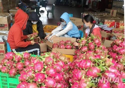 "중국 연상된다"며 과일명 바꾼 인도 지방정부에 네티즌 조롱