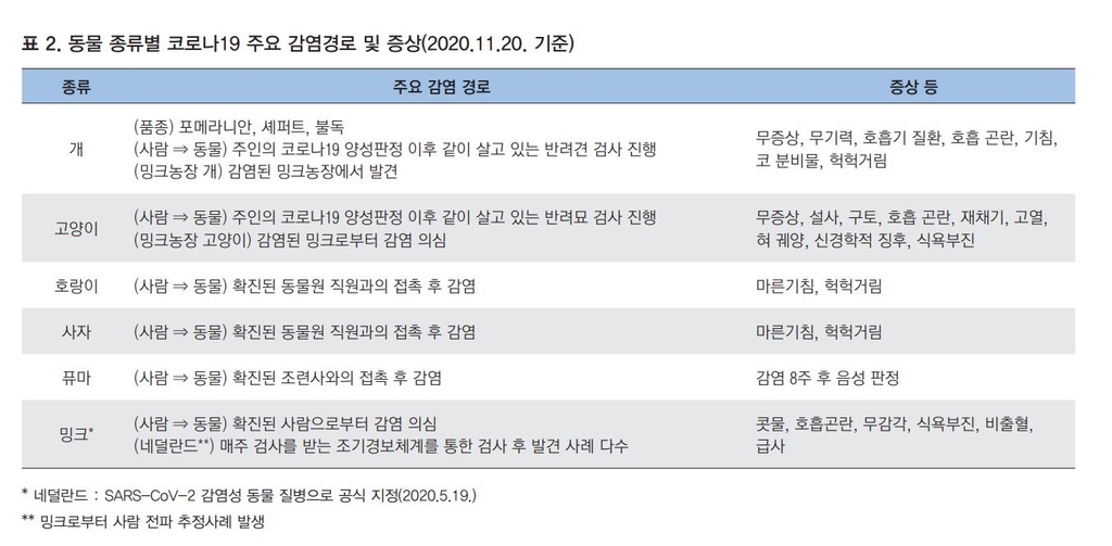 국내 첫 반려동물 감염…정부 "동물→인간 전파 사례는 없어"(종합)