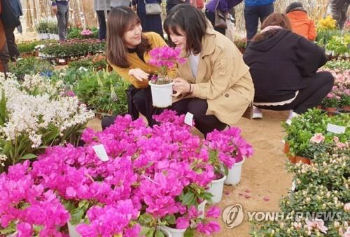 올해 묘목시장도 비대면…옥천묘목축제 온라인 전환