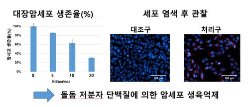 국립수산과학원 "돌돔에서 대장암 억제물질 개발"