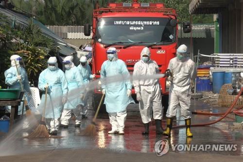 태국 사뭇사콘주 914명 최다 코로나 확진…"일일 800여명 예상"