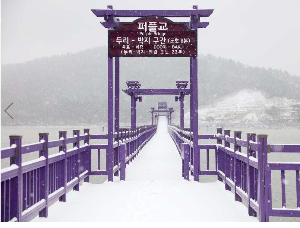 '퍼플섬' 신안 반월·박지도, 꼭 가봐야 할 한국 대표 관광지