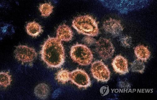 "변이의 출현, 코로나사태 연장시킬수도…집단면역 기준 높아져"