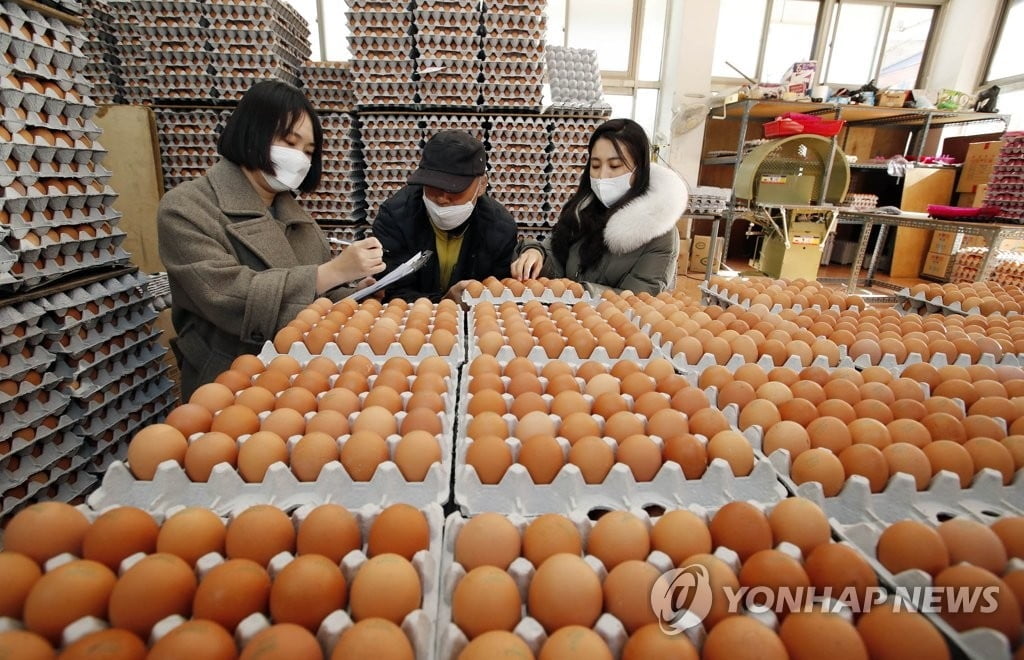 계란 한 판 가격 6천원 돌파…고병원성 AI 확산에 오름세