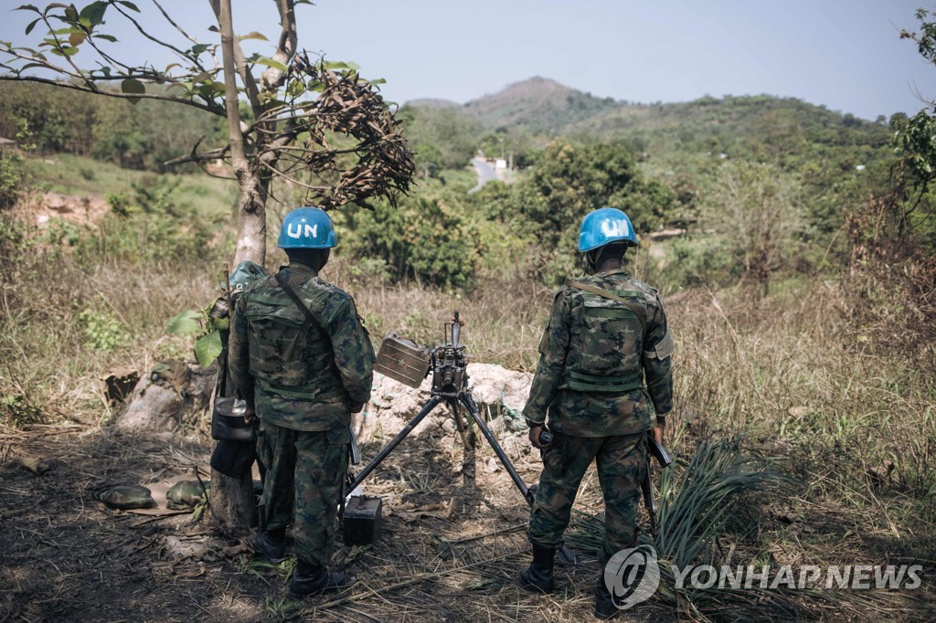 중아공, 비상사태 선포…반군, 수도 봉쇄 시도