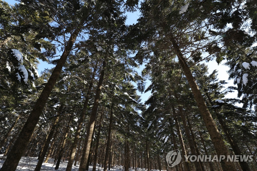 전남도, 곡성에 선도 산림경영단지 조성