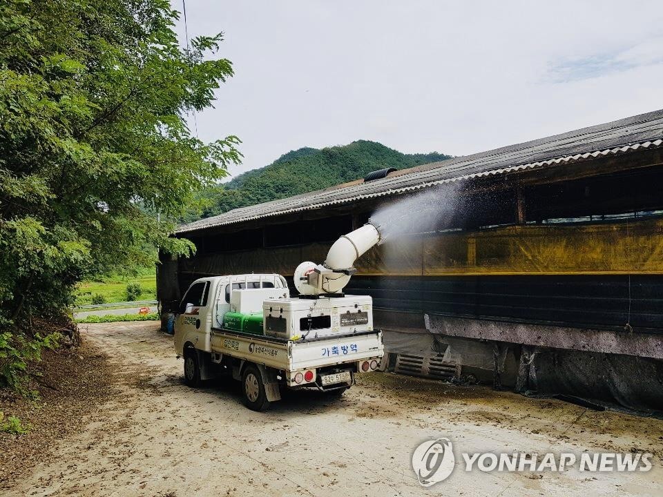 야생멧돼지 아프리카돼지열병 941건 발생…방역 고삐 더 죈다