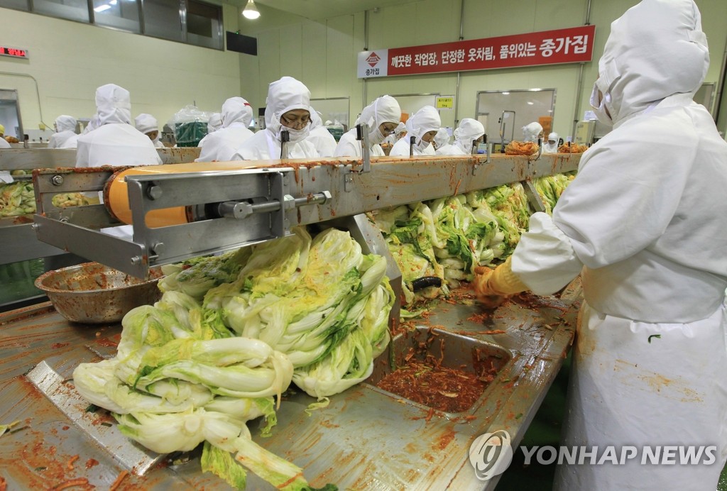 횡성 배추 재배농가-종가집 18ha 납품 계약 재배