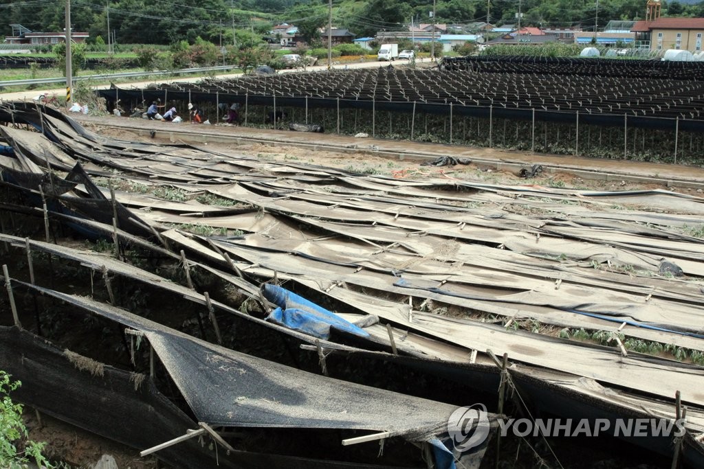 충남도 "농작물재해보험으로 자연재해 대비하세요"