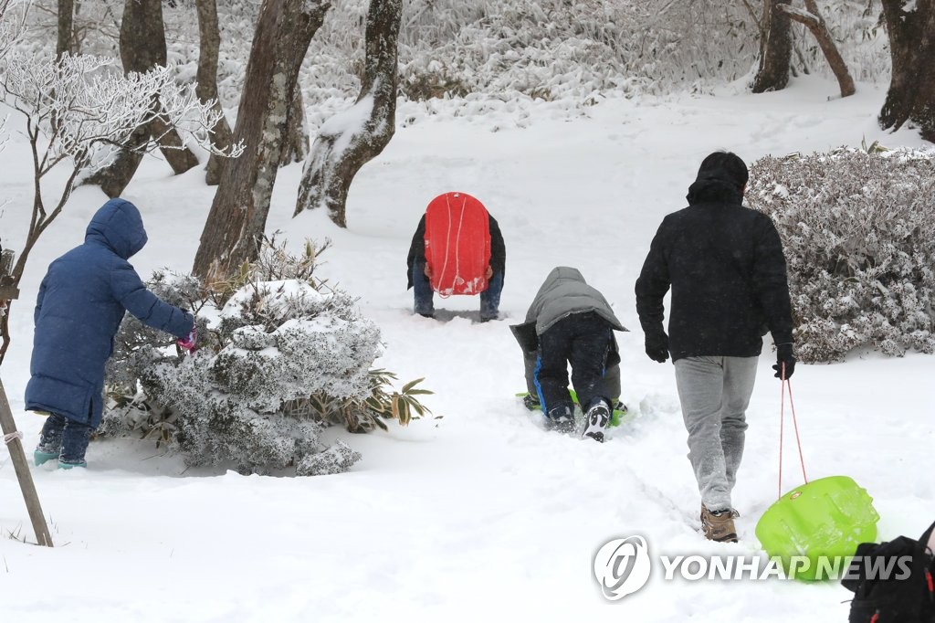 "코로나19 위기 눈썰매 NO!" 제주 새별오름 출입 제한