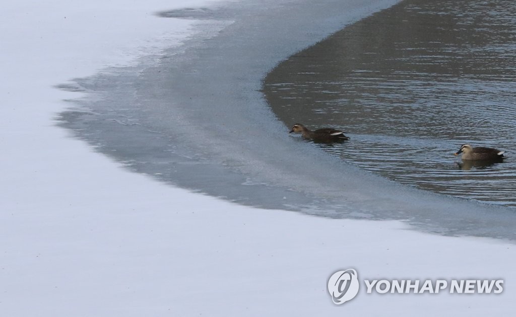 전국 저수율 평년 수준 이상…"1분기까지 물 부족 없을 것"