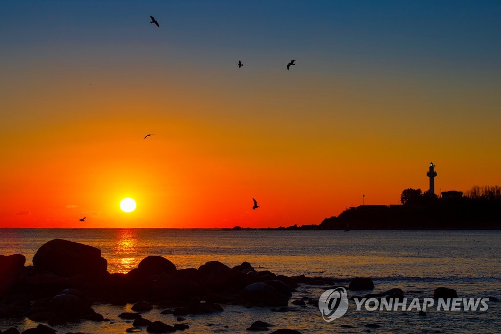 [사진톡톡] '랜선 해맞이하세요'