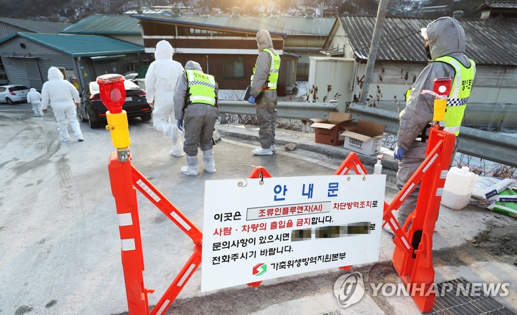 조류인플루엔자 차단방역에 특교세 19억8천만원 지원