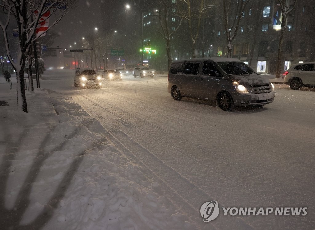 광주·세종 등 5개 시도에 대설경보…중대본 비상 2단계 가동