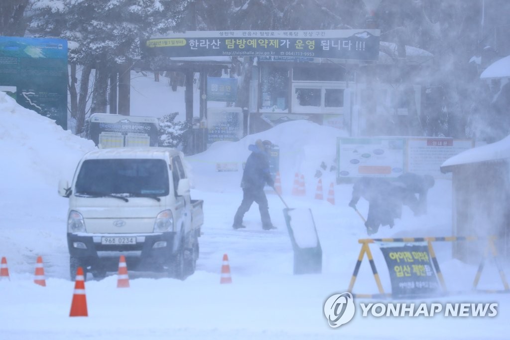 '북극발 한파 제주 강타'…항공기 81편 결항·여객선 전면 통제(종합)