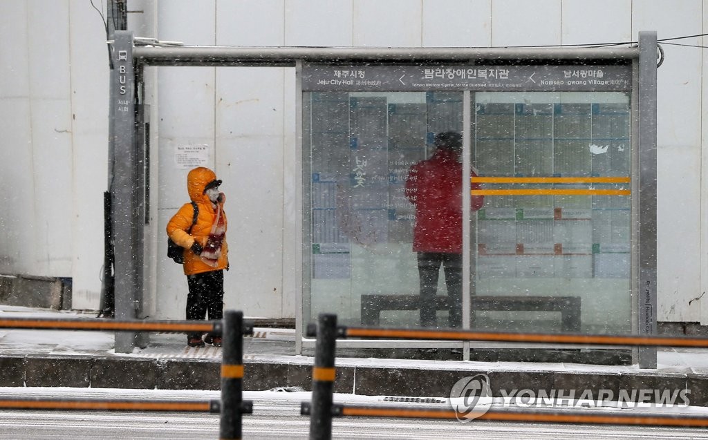 '북극발 한파 제주 강타'…항공기 81편 결항·여객선 전면 통제(종합)