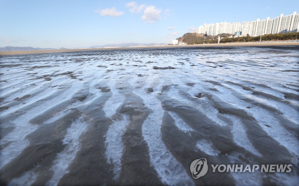 [픽! 부산] 파도야 꼼짝 마…추위가 모래톱에 그린 그림