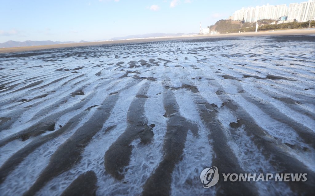 낙동강도 얼었다…부산 44년만에 최저 기록 '영하 12.2도'(종합)