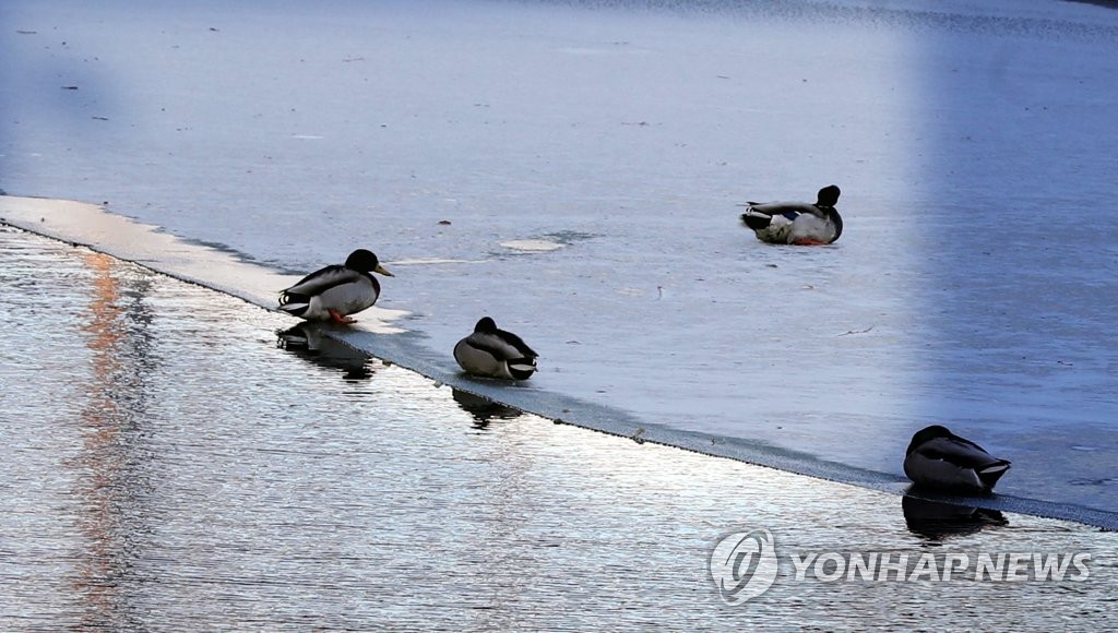 [픽! 부산] 파도야 꼼짝 마…추위가 모래톱에 그린 그림