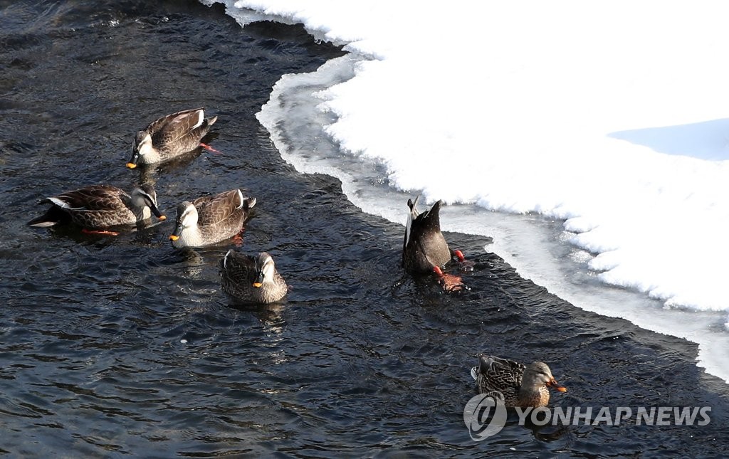 강원 영하 20도 안팎 강추위…낮부터 추위 누그러져