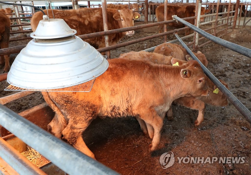 동장군 추위에 온종일 사투…'얼고 터지고' 고단한 하루