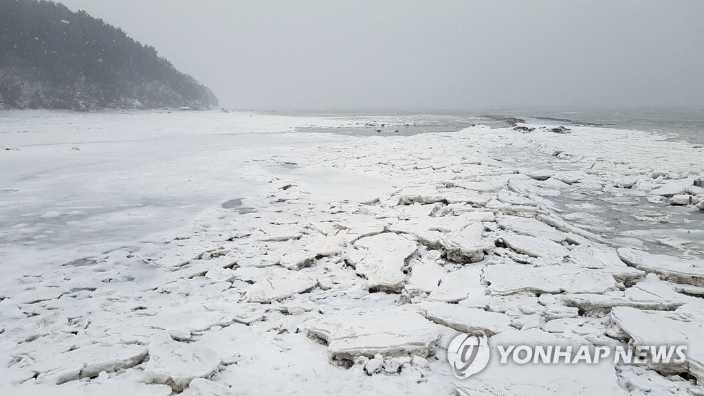 천안 등 충남 3개 시·군 한파주의보…천안 등 7곳은 대설주의보