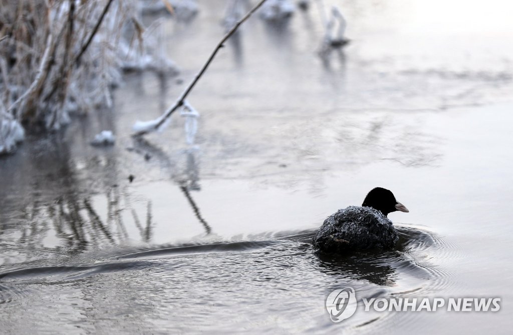 춘천 등 강원 10곳 한파경보 해제…원주 등 5곳 한파주의보 해제