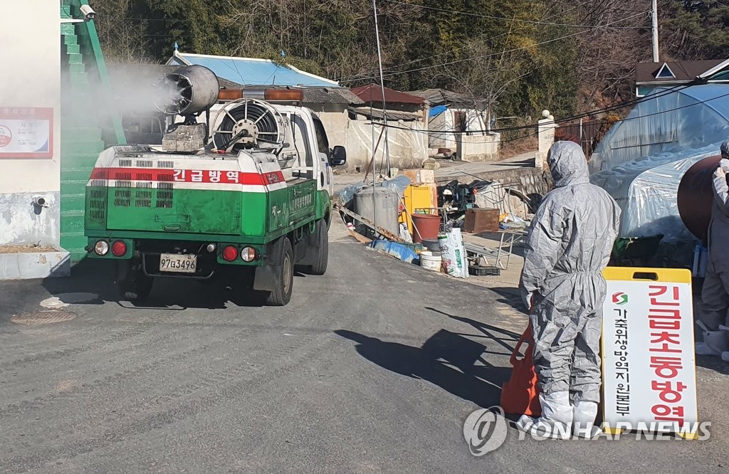 'AI 추가 확산 막아라'…경남도, 총력 대응체계 구축